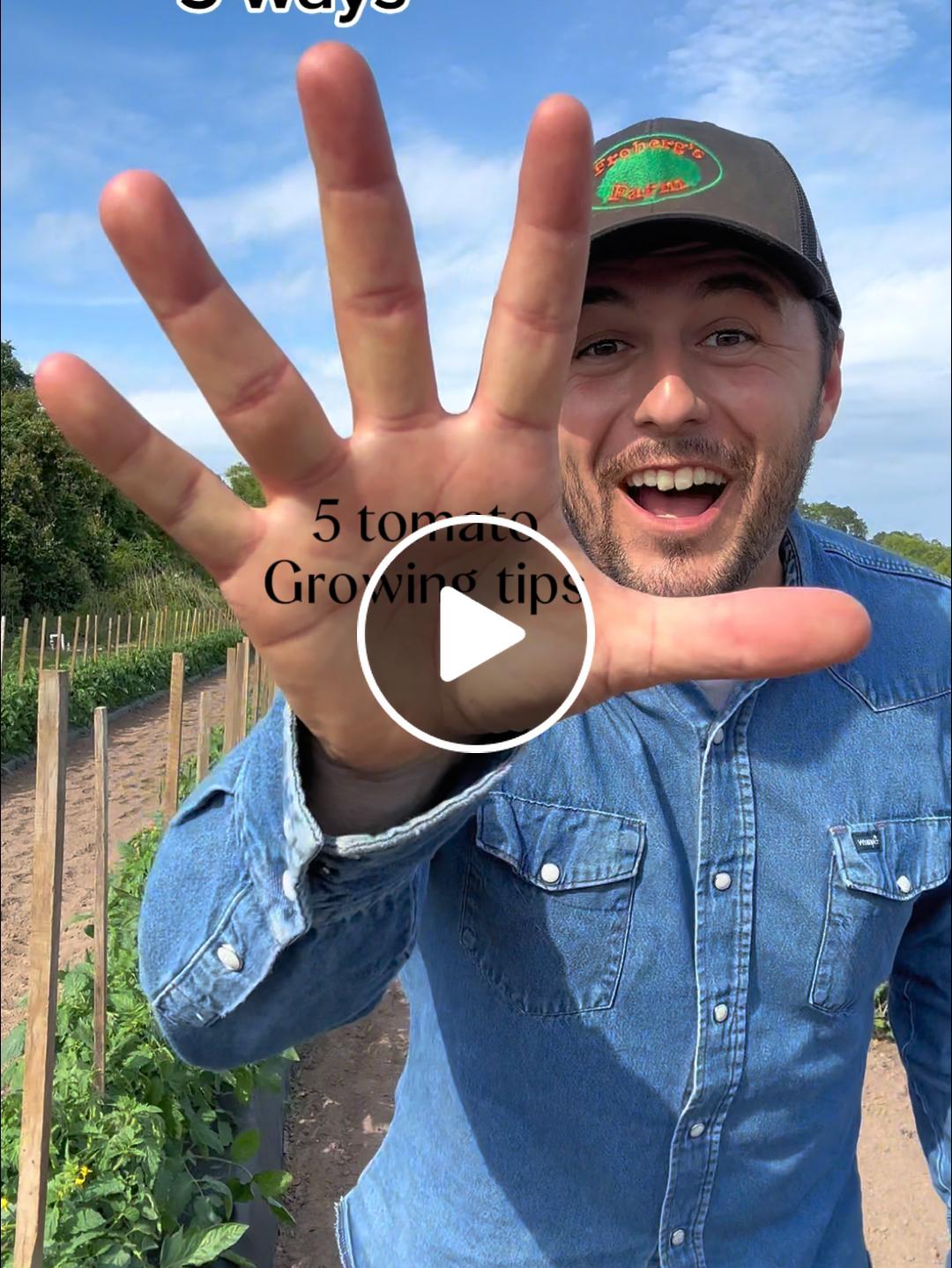 Mastering Tomato Season: From Bucket Harvests to Year-Long Sauce